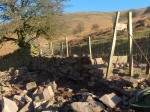 Dry stone wall showing batter frame in place.