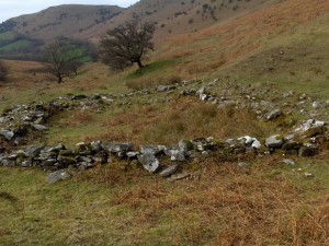 An extant middle ages cattle corral in the Welsh uplands